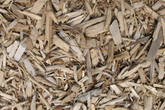 biomass boilers Cotteridge